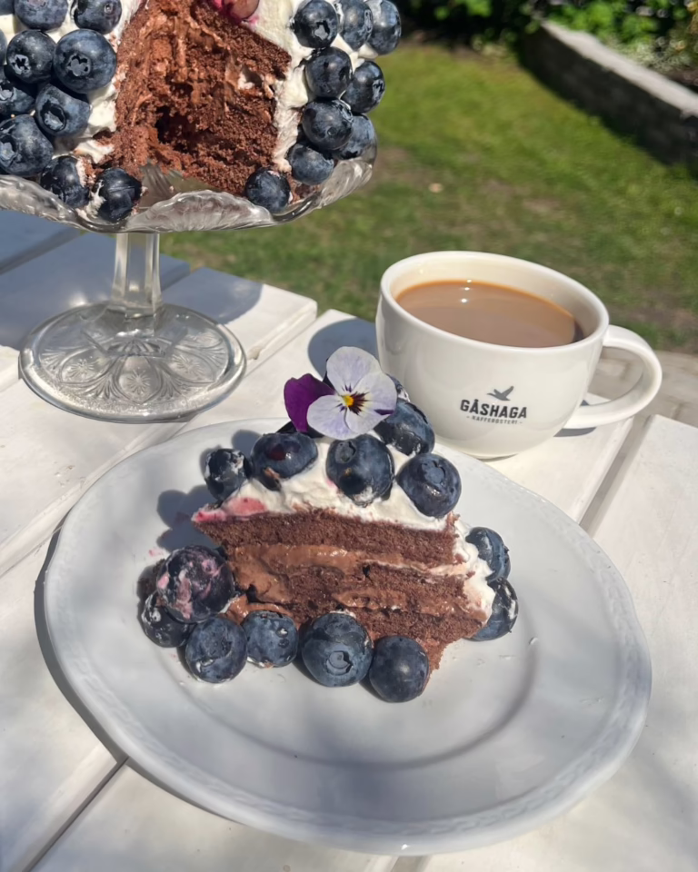 Nationaldagstårta med choklad, kaffe och blåbär tillsammans med bryggkaffe Sombra från Gåshaga Kafferosteri