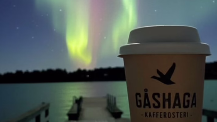 gåshaga kaffe norrsken